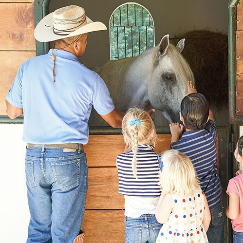 A man in a cowboy hat and three young children pet a white horse through a stable window. The children are facing the horse, and the man stands beside them, guiding their interaction.