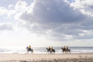 view of horses for the hipicas in Rancho Santana