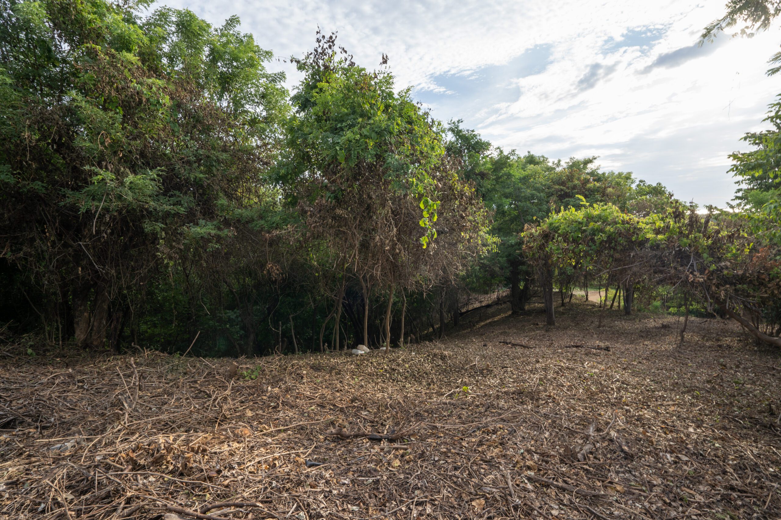 http://Lot%20for%20sale%20N23%20at%20Rancho%20Santana