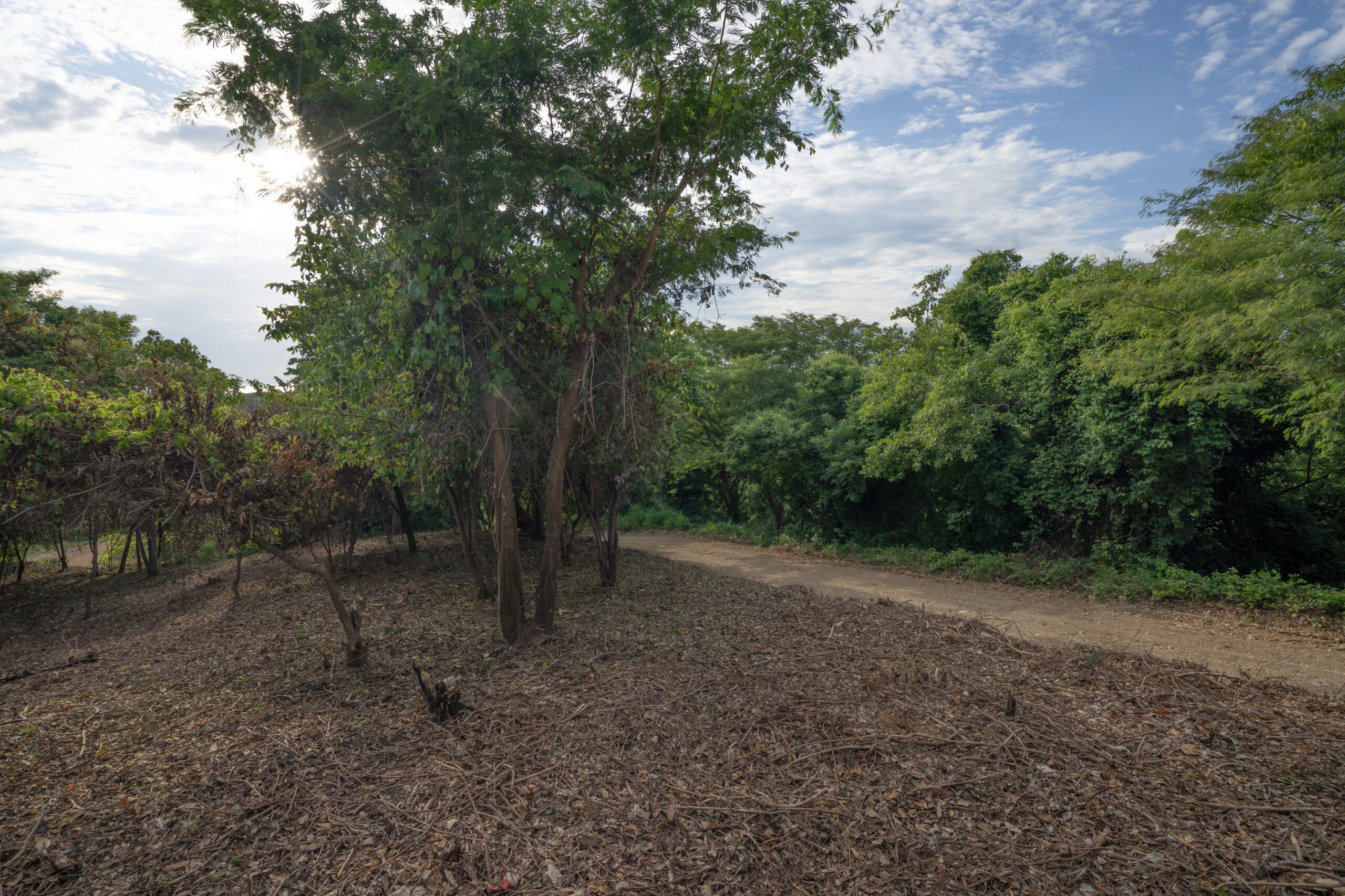 http://Lot%20for%20sale%20N23%20at%20Rancho%20Santana